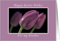 Happy Easter Wishes, for My Brother, Pink Tulips card