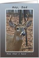 Happy Father’s Day from a Son, Eight Point Whitetail Buck card