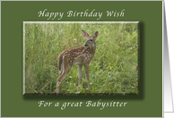 Happy Birthday for a Babysitter, White Tailed Fawn, whitetail deer card