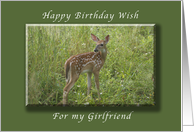 Happy Birthday for my girlfriend, White Tailed Fawn, whitetail deer card