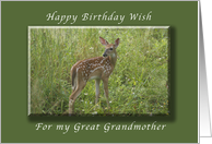 Happy Birthday for my Great Grandmother, Fawn, whitetail deer card