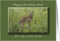 Happy Birthday for my little Sister, Fawn, whitetail deer card