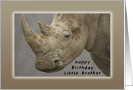 Happy Birthday Little Brother, Rhinoceros card