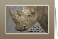 Happy Birthday Brother-in-Law, Rhinoceros card