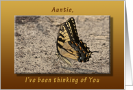 I’ve Been Thinking of You, Auntie, Eastern Tiger Swallowtail card