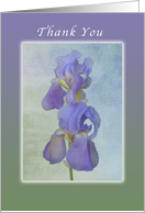 Thank you, Irises, Blank Inside card