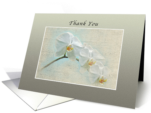 Thank you, White Orchids, Blank Inside card (1041017)