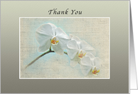 Thank you, White Orchids, Blank Inside card