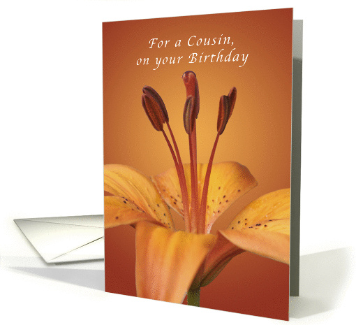 For a Cousin on your Birthday, Orange daylily card (1041515)