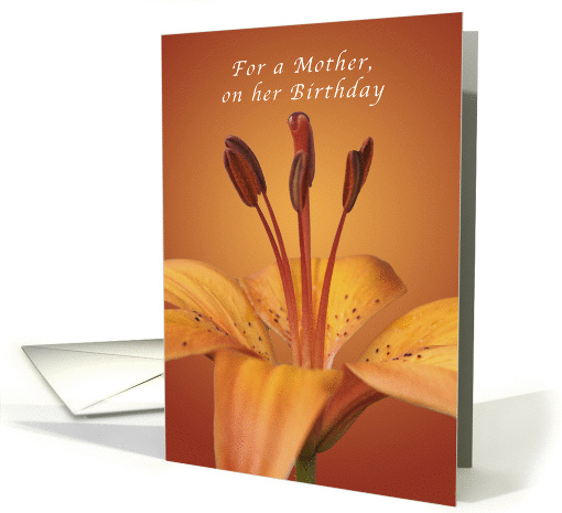 For a Mother Happy Birthday, Orange daylily card (1041531)