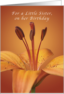 For a Little Sister Happy Birthday, Orange daylily card