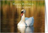 Happy Birthday, Son-in-Law, Swan in Pond at Sunset card