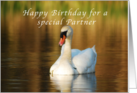 Happy Birthday, Special Partner, Swan in Pond at Sunset card