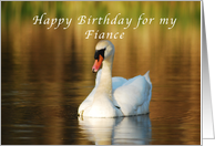 Happy Birthday, Fiance, Swan in Pond at Sunset card