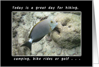 Today is a Great Day for a Birthday, fish card