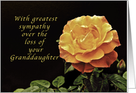 Sorry, for the Loss of Your Granddaughter, yellow orange rose card