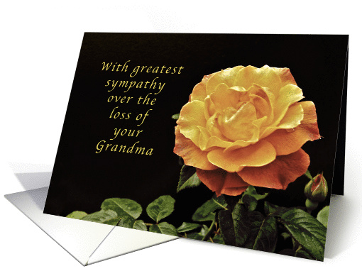 Sorry, for the Loss of Your Grandmother, yellow orange rose card