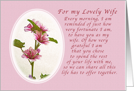 Happy Anniversary for my Lovely Wife card