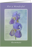 A Birthday Wish for a Wonderful Roommate, Purple Irises card