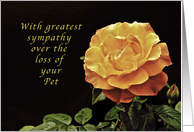 Sorry, for the Loss of Your Pet, yellow orange rose card