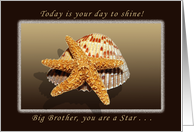 Happy Birthday, Big Brother, You are A star, Starfish and Shell card