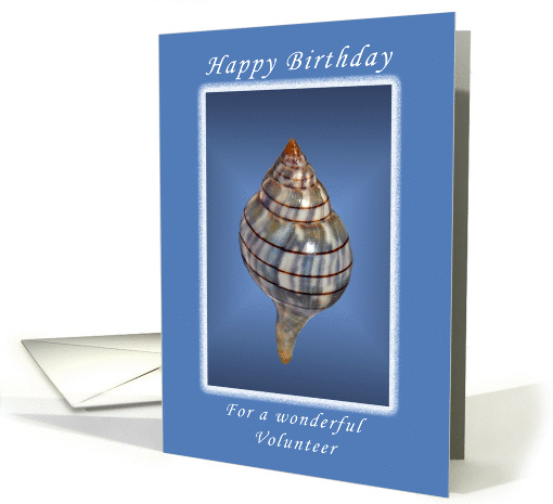 Happy Birthday for a wonderful Volunteer, Seashell card (1080242)