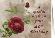 Red Rose 40th birthday wish card