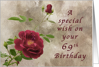 Red Rose a Special 69th Birthday Wish card