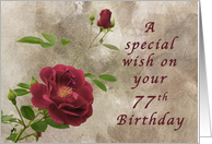 Red Rose a Special 77th Birthday Wish card