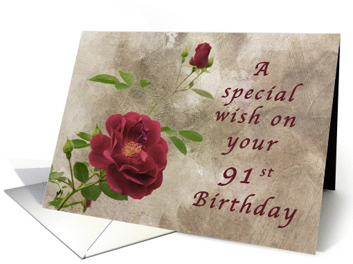 Red Rose a Special 91st Birthday Wish card (1108324)