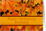Happy Thanksgiving Birthday, Autumn Maple leaves, card