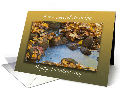 Happy Thanksgiving for a Special Grandpa, Autumn Maple leaves card