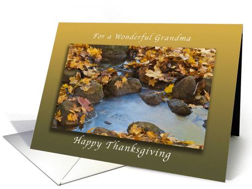 Happy Thanksgiving for a Wonderful Grandma, Autumn Maple leaves card