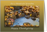 Happy Thanksgiving for a Wonderful Grandma, Autumn Maple leaves card