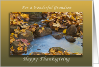 Happy Thanksgiving for a Wonderful Grandson, Autumn Maple leaves card