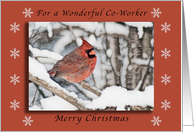 Merry Christmas for a Wonderful Co-worker, Cardinal in the Snow card