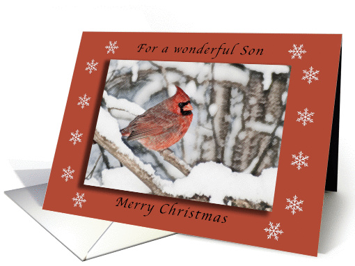 Merry Christmas for a Wonderful Son, Cardinal in the Snow card