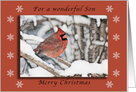 Merry Christmas for a Wonderful Son, Cardinal in the Snow card