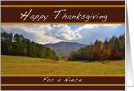 Happy Thanksgiving, for a Niece, Approaching Holidays card