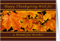 Happy Thanksgiving Wishes for a Brother, Maple Leaves card