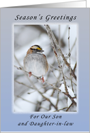 Season’s Greetings Our Son and Daughter-in-Law, Sparrow card