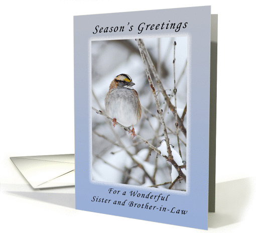 Season's Greetings a Wonderful Sister and Brother-in-Law, Sparrow card