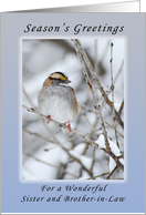 Season’s Greetings a Wonderful Sister and Brother-in-Law, Sparrow card