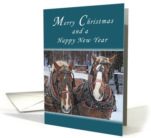 Merry Christmas and Happy New Year, Draft Horses in the... (1137514)