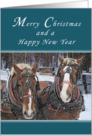 Merry Christmas and Happy New Year, Draft Horses in the winter snow card