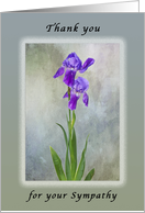 Thank You For Your Sympathy, Purple Iris with Textured Background card