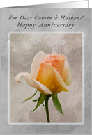 Happy Anniversary, for a dear Cousin and Husband, Fresh Rose card