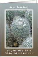 Another Birthday a Prickly Subject for a Grandson card