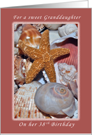 For a Sweet Granddaughter on Her 38th Birthday, Starfish and Seashells card