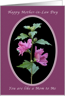 Happy Mother-in-Law Day, You are like a Mom to Me, Rose of Sharon card